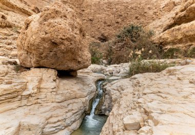 İsrail 'in güneyindeki Ölü Deniz' in yakınındaki Arugot Nehrinin aşağısındaki Doğa Koruma Alanı 'nda küçük bir şelale.