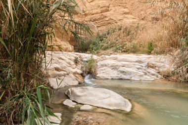 İsrail 'in güneyindeki Ölü Deniz' in yakınındaki Arugot Dağları 'nda küçük bir şelale.