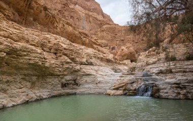 İsrail 'in güneyindeki Ölü Deniz' e yakın Arugot Deresi 'nde şelalesi olan küçük bir göl.