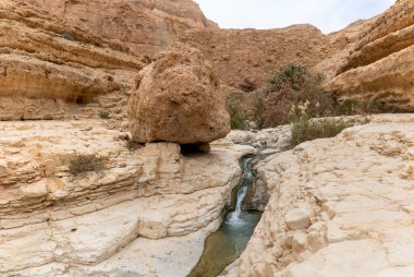 İsrail 'in güneyindeki Ölü Deniz' in yakınındaki Arugot Nehrinin aşağısındaki Doğal Rezerv 'de küçük bir şelale.