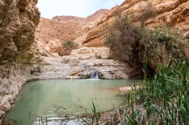 İsrail 'in güneyindeki Ölü Deniz' in yakınındaki Arugot Nehrinde şelalesi olan küçük bir göl.