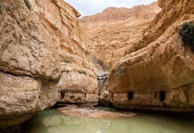 Küçük bir şelale ve İsrail 'in güneyindeki Ölü Deniz' in yakınındaki Arugot Akıntısı 'nda küçük bir göl.