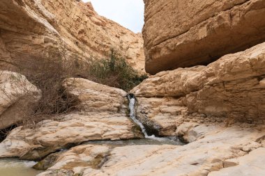 İsrail 'in güneyindeki Ölü Deniz' in yakınındaki Arugot Dağı 'ndaki Nehir Altında Küçük Şelale