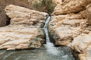İsrail 'in güneyindeki Ölü Deniz' in yakınındaki Arugot Nehrinde küçük bir şelale ve küçük bir göl.
