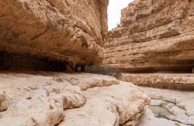 İsrail 'in güneyindeki Ölü Deniz' in yakınlarındaki Arugot Irmağı Doğa Koruma Alanı 'nın olağanüstü ihtişamı.