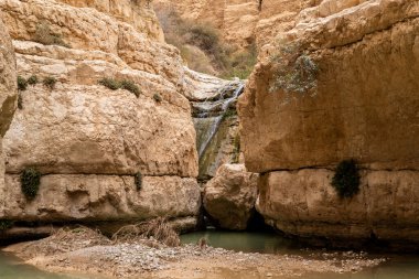Küçük şelale ve İsrail 'in güneyindeki Ölü Deniz' in yakınındaki Arugot Deresi Doğal Rezervi 'ndeki küçük göl.