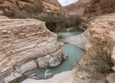 Sığ dağ nehri, İsrail 'in güneyindeki Ölü Deniz' in yakınlarındaki Arugot Akıntısı Doğa Koruma Alanı 'ndaki dolambaçlı bir kanal boyunca akar.