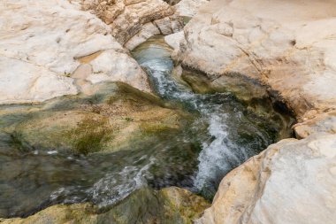 İsrail 'in güneyindeki Ölü Deniz' e yakın Arugot Akıntısı Doğa Koruma Alanı 'ndaki kıvrımlı kanal boyunca sığ dağ nehri akar.