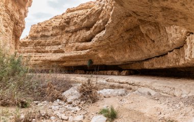 İsrail 'in güneyindeki Ölü Deniz' in yakınındaki Arugot Irmağı Doğa Koruma Alanı 'nın olağanüstü ihtişamı.