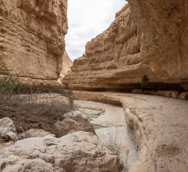 İsrail 'in güneyindeki Ölü Deniz' in yakınındaki Arugot Akıntısı Doğa Koruma Alanı 'nın olağanüstü ihtişamı.