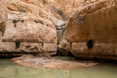 İsrail 'in güneyindeki Ölü Deniz' in yakınındaki Arugot Nehrinde küçük şelale ve küçük göl.