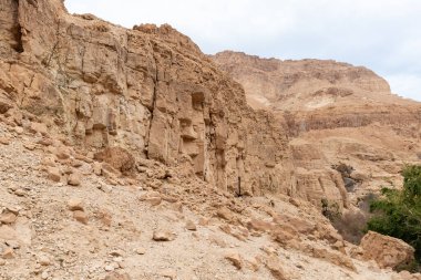 İsrail 'in güneyindeki Ölü Deniz' in yakınındaki Arugot Irmağı 'nın Doğal Kaynakları' nın olağanüstü ihtişamı.