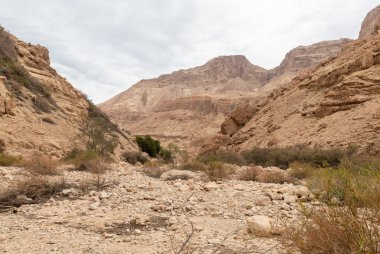 İsrail 'in güneyindeki Ölü Deniz yakınlarındaki Arugot Akımı Doğa Koruma Alanı' nın tarif edilemez görkemi.