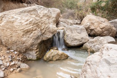 Küçük şelale, İsrail 'in güneyindeki Ölü Deniz' in yakınlarındaki Arugot Deresi Doğa Koruma Alanı 'ndaki bir göle akar.