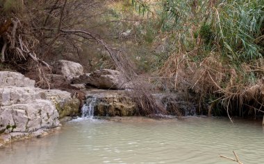 Küçük şelaleler İsrail 'in güneyindeki Ölü Deniz yakınlarındaki Arugot Akıntısı' ndaki Doğal Rezerv 'e akıyor.