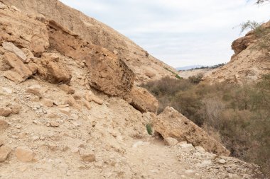 İsrail 'in güneyindeki Ölü Deniz' in yakınlarındaki Arugot Akıntısı Doğa Koruma Alanı 'nda dağ yamacından kayan devasa kayalar.