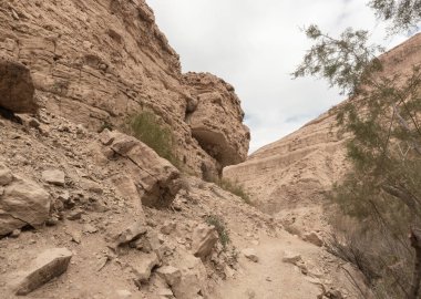 İsrail 'in güneyindeki Ölü Deniz yakınlarındaki Arugot Akımı Doğa Koruma Alanı' nın tarifsiz ihtişamı.