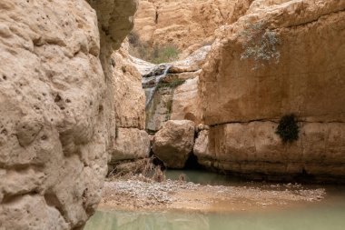 İsrail 'in güneyindeki Ölü Deniz' in yakınındaki Arugot Nehrinde küçük bir şelale ve küçük bir göl.