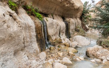İsrail 'in güneyindeki Ölü Deniz yakınlarındaki Arugot Akımı Doğa Koruma Alanı' nın tarifsiz ihtişamı.