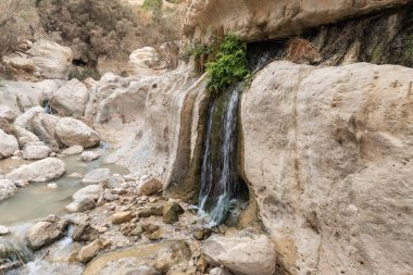 İsrail 'in güneyindeki Ölü Deniz' in yakınındaki Arugot Akıntısı Doğa Koruma Alanı 'ndaki dağ duvarından küçük şelaleler akıyor.