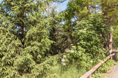 Prague, Czech Republic, May 15, 2024 :Decorative garden on the territory of Prague Zoo in Czech Republic