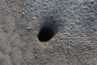 Sahilde ıslak bir kumun yakın plan çekimi.