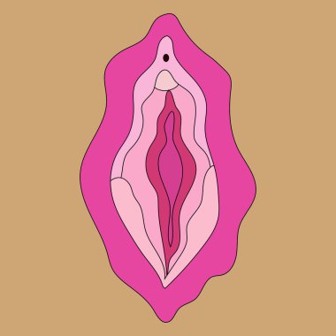 Beauty female reproductive system. Illustrator a vagina. Vector