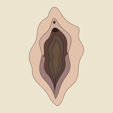 Beauty female reproductive system. Illustrator a vagina. Vector clipart