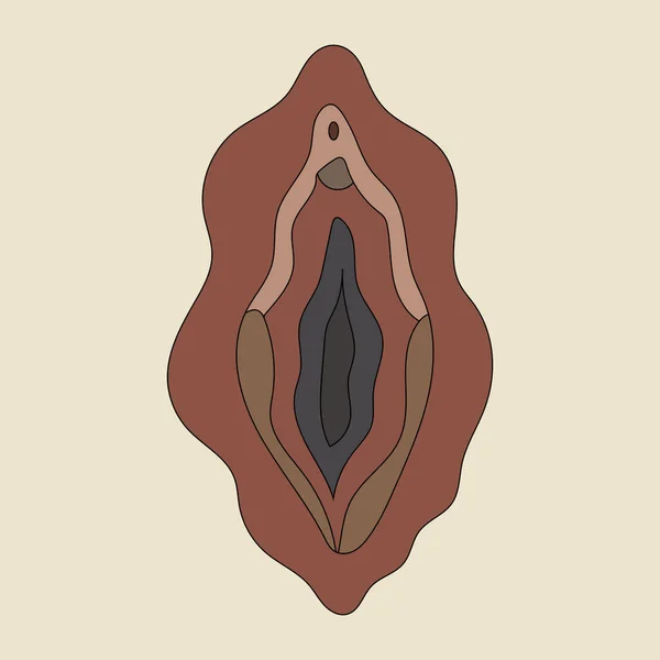 Beauty Female Reproductive System Illustrator Vagina Vector — Wektor stockowy