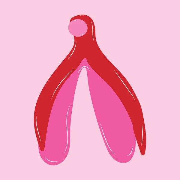 Système Reproducteur Clitoris Thème Féminisme Les Organes Génitaux Féminins Vecteur — Image vectorielle