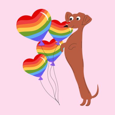 Dachshund köpeği kalp şeklinde bir gökkuşağı balonu süsler. Vektör çizimi izole edildi