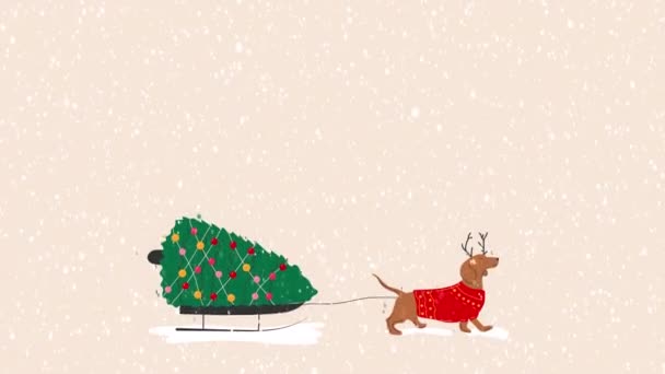 Jezevčík Tahá Vánoční Stromek Saních Video Ploché Kreslené Animace Designový — Stock video