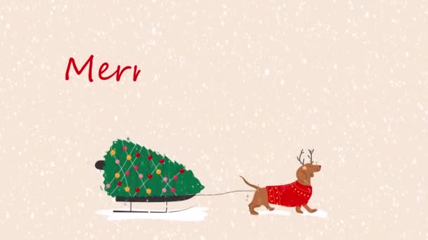 Dachshund Köpeği Üzerinde Mutlu Noeller Yazan Bir Noel Ağacını Kızağa — Stok video