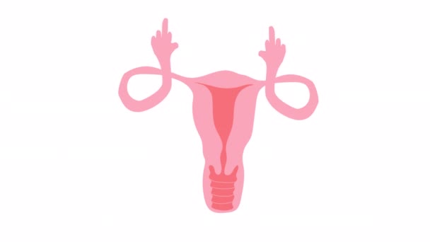 Grappige Mascotte Orgaan Karakter Vrouwelijke Voortplantingssysteem Baarmoeder Baarmoederhals Eierstokken Eileiders — Stockvideo