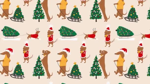 Dachshunds狗和圣诞树动画循环背景 视频平面卡通动画设计元素 4K视频镜头 — 图库视频影像