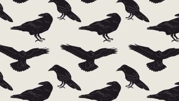 Black Raven Crow Birds Loop Background Vídeo Plano Desenho Animado — Vídeo de Stock