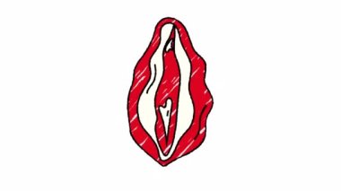 Bayan Vulva. Video el çizimi animasyon tasarım elemanı. Alfa Kanalı Şeffaflığı