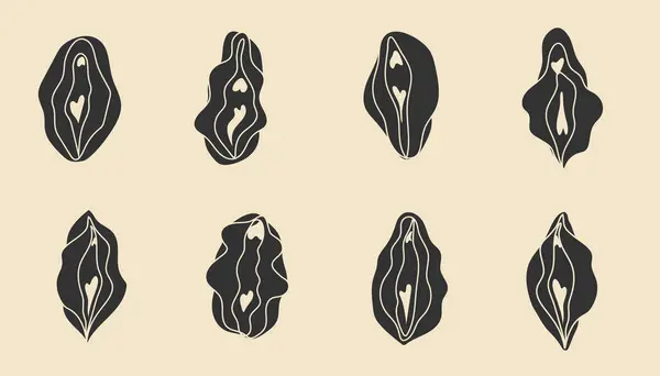 Set of Beauty female reproductive system. Vulva. Illustrator a vagina. Vector in hand drawn