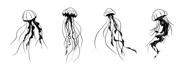 Çizgi Sanatı Seti Dekorasyon Tasarımı Için Bir Çizgi Denizanası Beyaz Stok Vektör