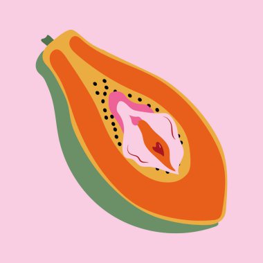 Kadın dudağının dış hatlarıyla Papaya. Vulva