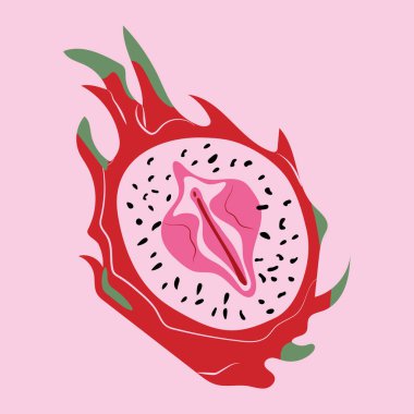 Ejderha meyvesi, pitahaya ve kadın dudağı. Vulva