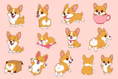 Eğlenceli ve kaprisli çizgi film tarzında dizayn edilmiş sevimli Corgi yavruları ve büyüleyici ifadeler.