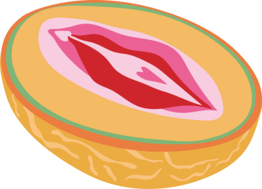 Dişi Vulva 'nın ana hatlarıyla kavun