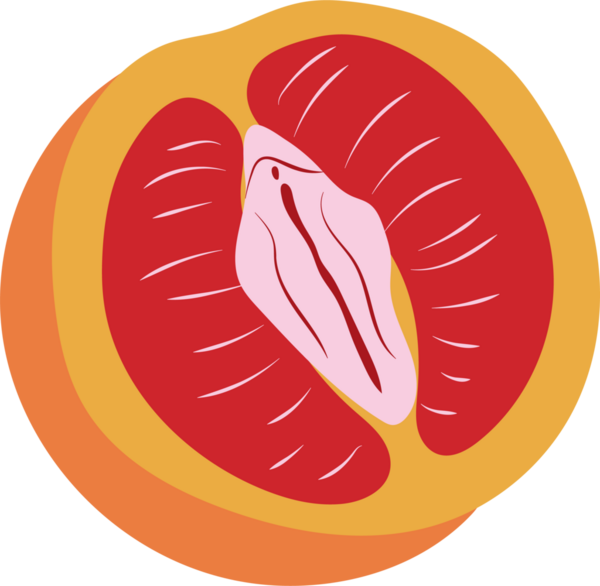 Dişi Vulva 'nın Dış Hatlarıyla Greyfurt