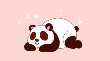 Sevimli Çizgi Film Pandası Gevşek Poz Veriyor Şeffaf Animasyon