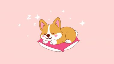 Şirin Corgi Çizgi Filmi Pembe Yastık Döngüsünde Uyuyor