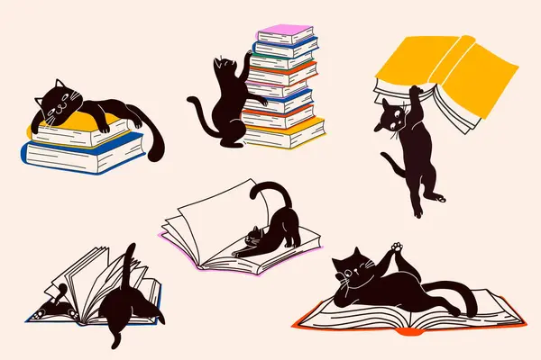 Eğlenceli Pozisyonlarda Kediler ve Kitaplar Koleksiyonu
