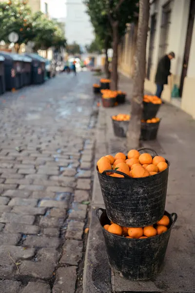 Şehrin sokaklarında taze portakallar, Rio de Janeiro. Brezilya