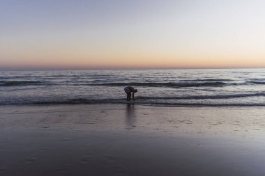Köpeğiyle sahilde yürüyen bir adam.