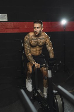 Genç kaslı vücut geliştirici spor salonunda egzersiz yapıyor.